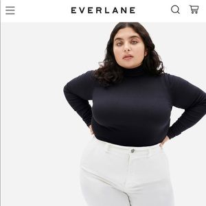 NWT Everlane Pima micro rib turtleneck